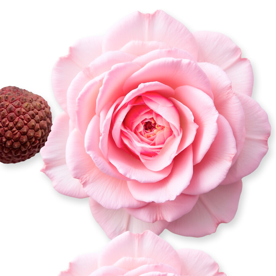 delina refillable body cream
– parfums de marly
